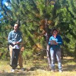 Dos de los autores del estudio, Victoria Lantschner, investigadora del Conicet en el Grupo de Ecología de Poblaciones de Insectos de la Estación Experimental Agropecuaria Bariloche del INTA, y Juan Corley, del Conicet, el INTA y la Universidad Nacional del Comahue, en Bariloche.