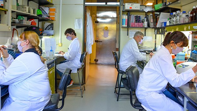 COVID-19: El Instituto Leloir, el CONICET y la compañía biotecnológica Vaxinz firman acuerdo para el desarrollo de una vacuna de segunda generación