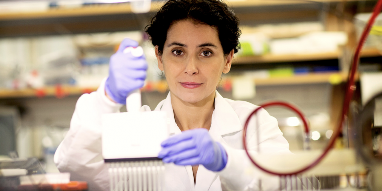 Se formó en Argentina y trabajó 10 años con uno de los recientes ganadores del Premio Nobel de Medicina