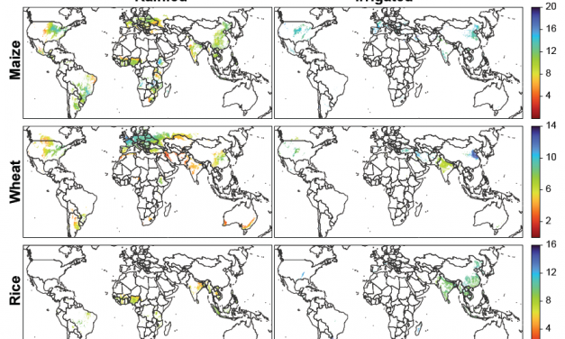 Logran completar con IA el atlas de productividad de todas las áreas agrícolas del mundo para tres grandes cultivos