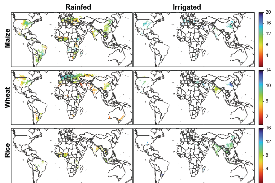 Logran completar con IA el atlas de productividad de todas las áreas agrícolas del mundo para tres grandes cultivos